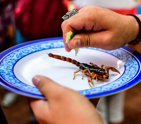 Kuliner Ekstrem, Berani Coba?