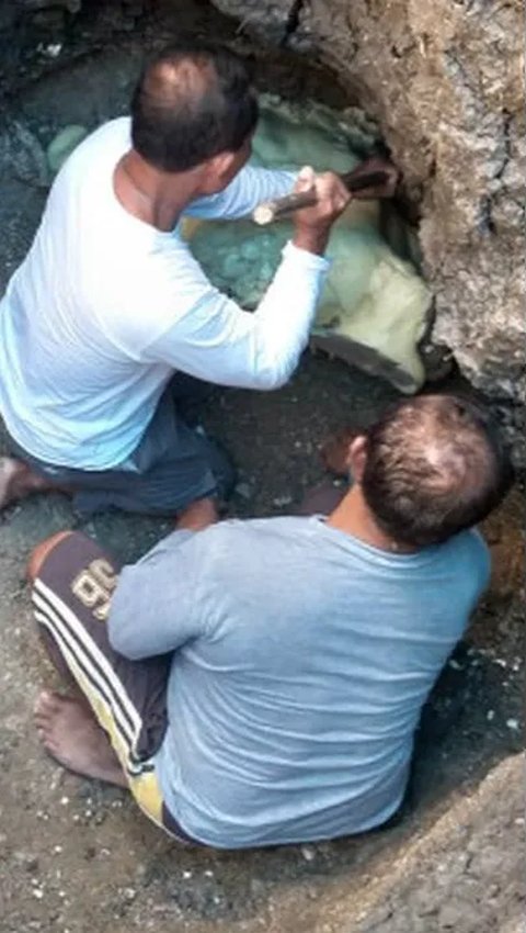 Fosil binatang purba juga ditemukan di sejumlah lokasi. Salah satu contohya warga menemukan fosil paus purba di Blora.