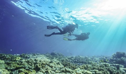 Puluhan spot diving terbentang luas di Raja Ampat.