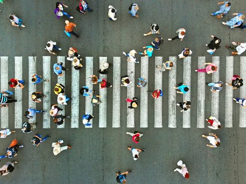 Kenapa Zebra Cross Berwarna Hitam Putih?