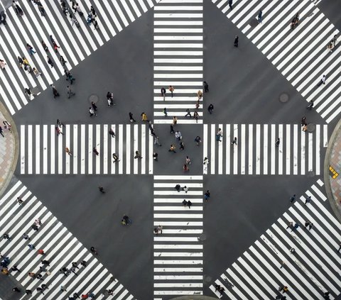 Kenapa Zebra Cross Berwarna Hitam Putih?