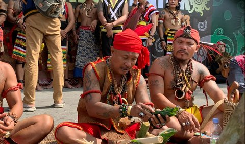 Ritual  adat Dayak ini dipimpin Pamane (tetua adat) sambul duduk di hadapan sesajian dengan mulut komat-kamit membaca doa kepada Tuhan.