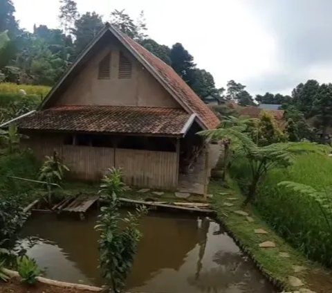 Banyak daerah 3T selama ini sulit atau tidak terjangkau layanan seluler.