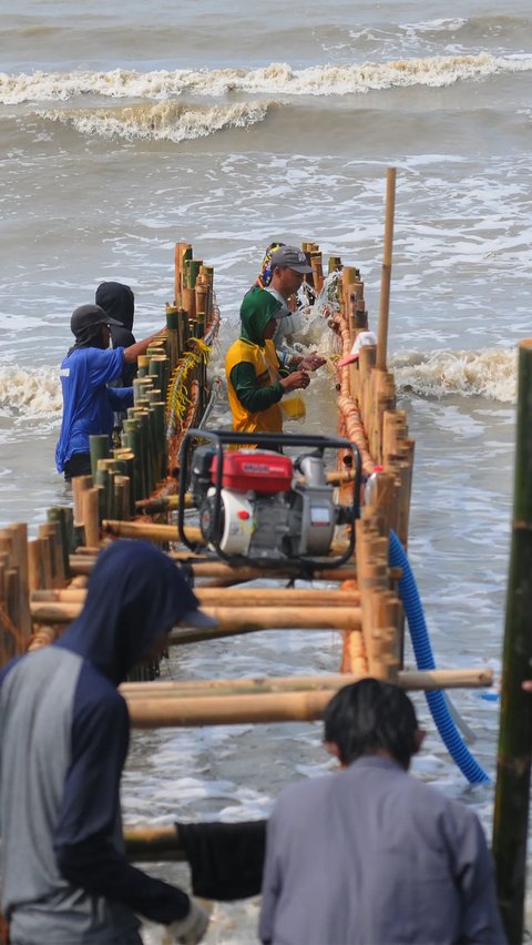 Warga membuat penahan gelombang air laut dengan tumpukan pasir dan patok bambu untuk menahan gelombang dan abrasi laut di Pantai Pisangan,