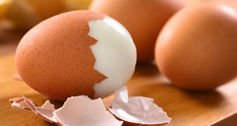 Telur memang makanan sumber protein dan vitamin yang baik, termasuk dalam diet.