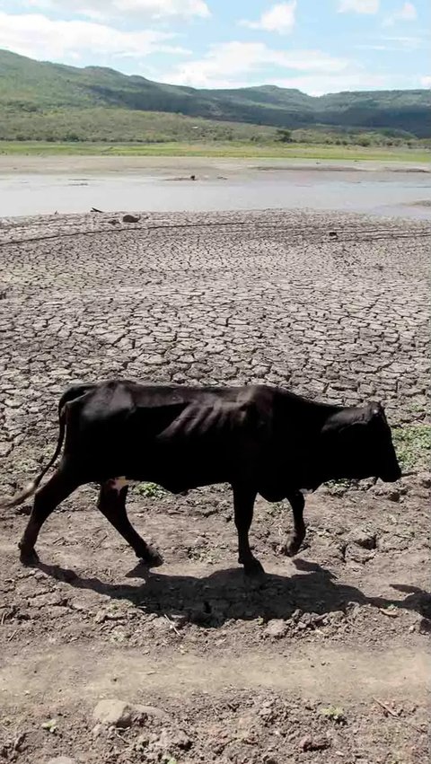 Antisipasi El Nino