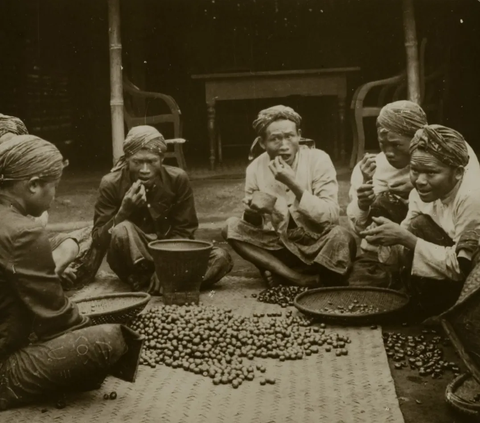 Kondisi sebaliknya terjadi di Tanah Air. Rakyat Priangan menderita & dipaksa menanam kopi oleh VOC dan para pembesar pribumi. Mereka dipaksa meninggalkan lahan pertanian mereka demi 'emas hitam'.