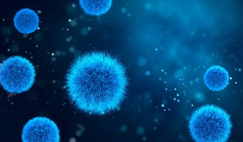 Perbedaan Antara Bakteri dan Virus