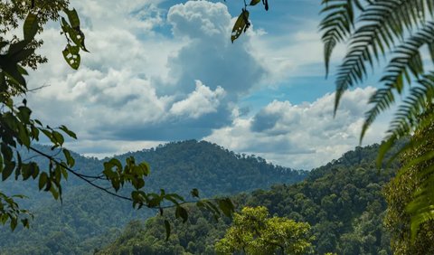 Daftar Gunung Paling Ekstrem di Indonesia, Tertarik Mencoba?