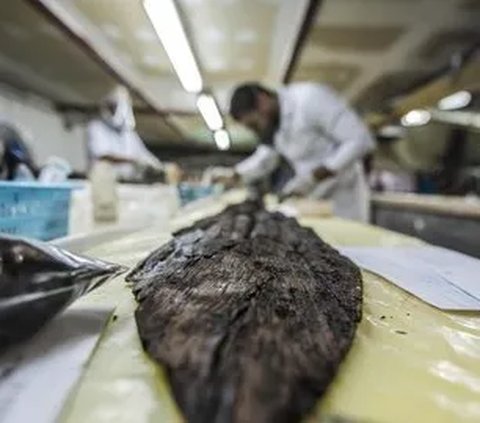 10 Firaun Termasyhur Mesir Kuno, Dua di Antaranya Perempuan