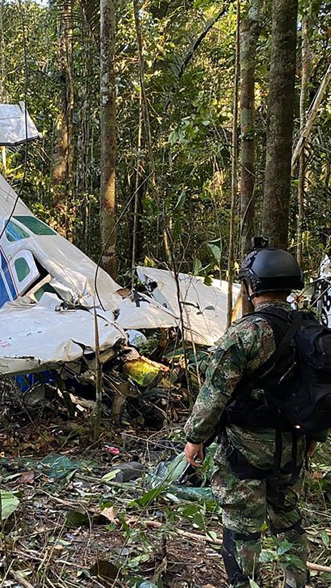 Lebih dari 11 anggota militer dikerahkan ke kawasan tersebut. Mereka menyebarkan 10.000 lembar selebaran ke dalam hutan berisi tips-tips dan instruksi bertahan hidup melalui udara dengan bantuan pesawat militer.