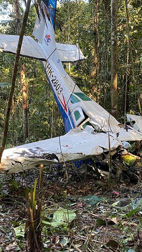 Pada 1 Mei pagi, pesawat Cessna 2016 milik perusahaan Avianline Charters meninggalkan kawasan hutan yang dikenal dengan nama Araracuara menuju San Jose del Guaviare, salah satu daerah utama di Amazon Kolombia.