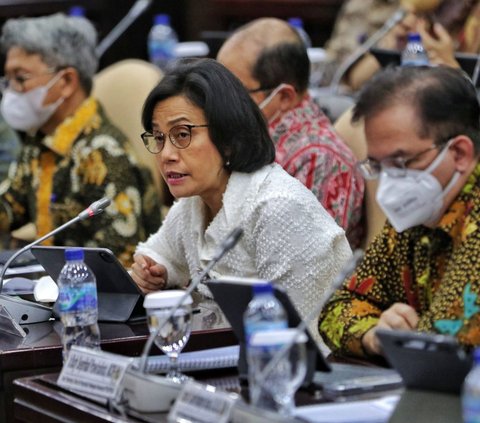 Sri Mulyani Susun Strategi Agar Tak Lagi Kecolongan Anak Buah Nakal