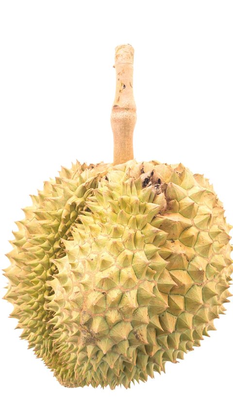 Potret Unik Durian Kembang Senduro Lumajang, Ada Bunga di Tengah Daging Buah