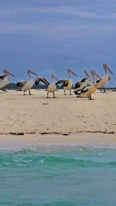 Pantai Ngurvatur