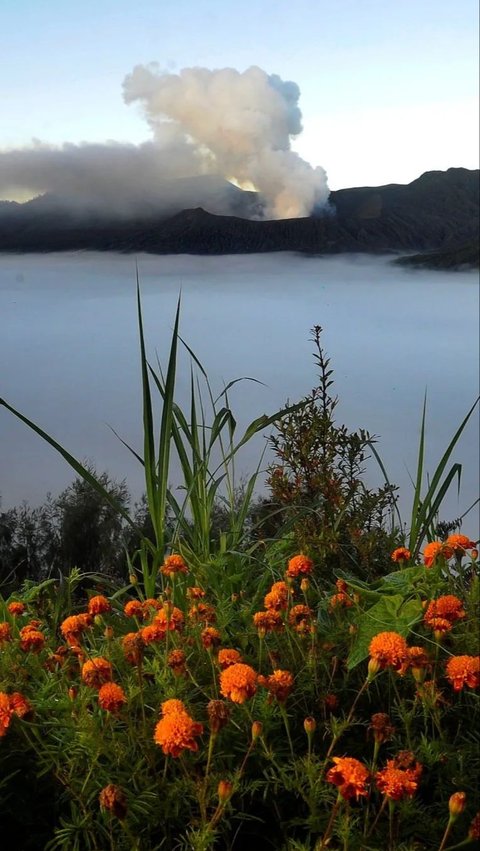 Mengintip Keindahan Kaldera Bromo