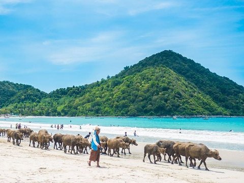 Pantai Selong Belanak