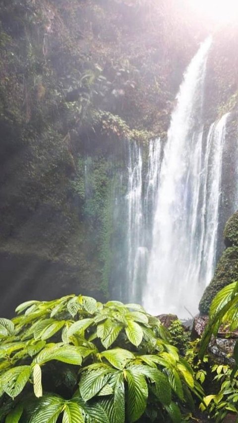 Air Terjun Senaru