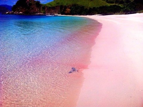 Pink Beach