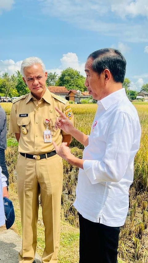 Politik di Tengah Sawah