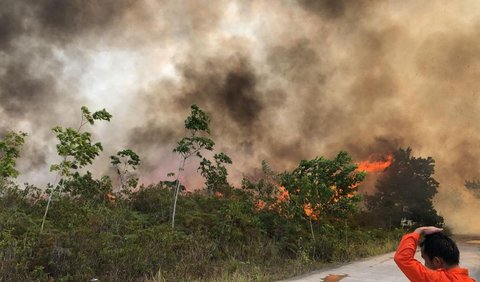 Untuk wilayah Sumatera, BNPB mengimbau kewaspadaan pada potensi kebakaran hutan dan lahan (karhutla).