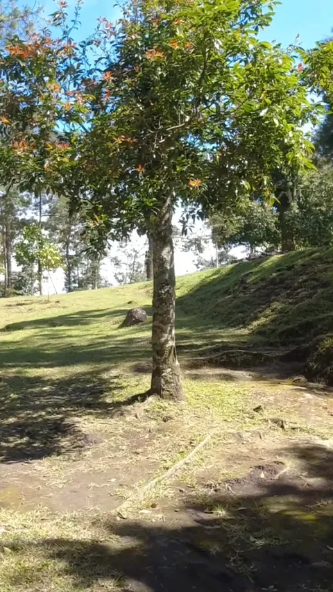 Secara stuktur, Candi Kethek juga belum banyak dipugar dan masih berbentuk tumpukan batu dengan lingkungan sekitar yang bersih dan nyaman.