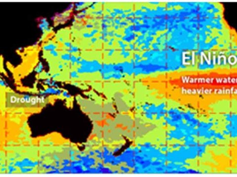 El Nino Muncul, Awas Kekeringan