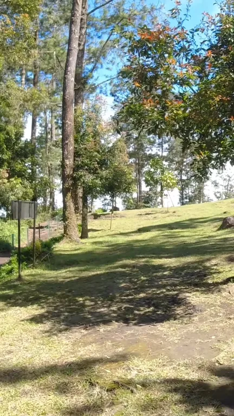 Penemuan Candi Kethek