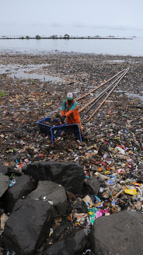 Sampah berasal dari Kanal Banjir Timur dan Teluk Jakarta yang terbawa angin barat