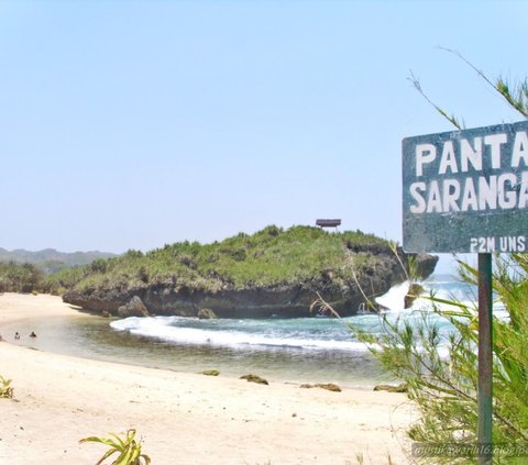 Saat berkunjung ke sini, wisatawan bisa melihat pesona pasir putih serta ombak yang tak terlalu tinggi. Pengunjung bahkan juga bisa melihat aneka biota pantai seperti ikan kecil, bulu babi, kepiting, ubur-ubur, dan lainnya.