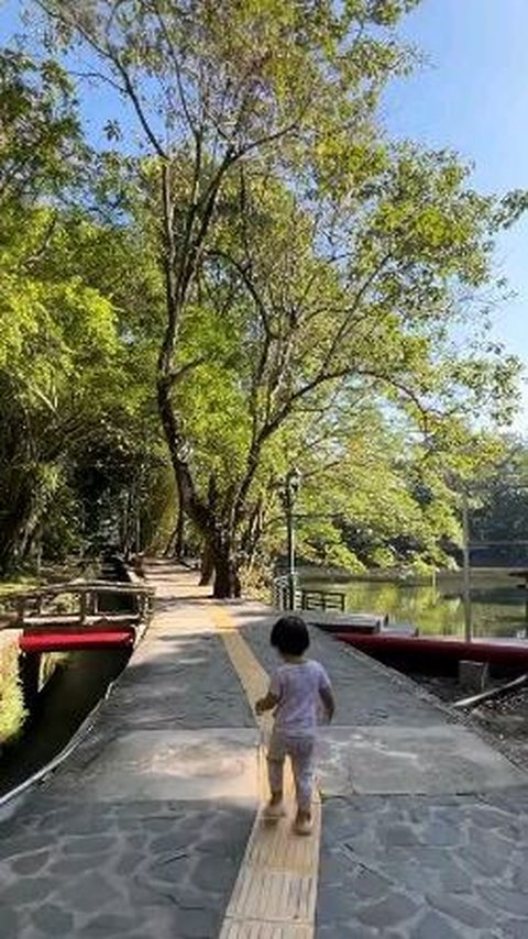 Serunya Liburan di Wisdom Park UGM, Ruang Terbuka Hijau dengan Berbagai Fasilitas