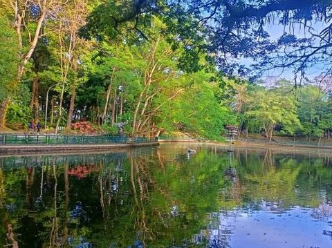 Serunya Liburan di Wisdom Park UGM, Ruang Terbuka Hijau dengan Berbagai Fasilitas