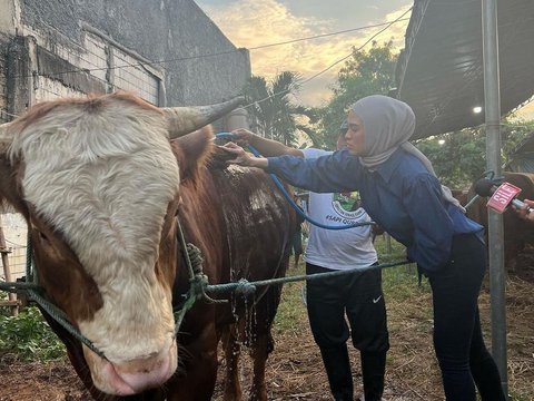 Masih Ingat Delia Septianti? Vokalis Ecoutez Kini Jadi Juragan Sapi