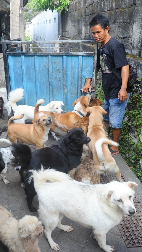 Sebagai pecinta binatang, I Ketut Widianta diketahui sudah merawat 25 ekor anjing peliharaannya sejak tahun 2000.