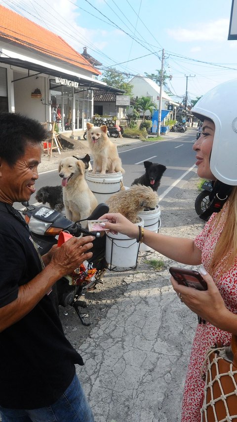 Terkadang ia mendapatkan uang pemberian dari wisatawan asing yang antusias melihat Lelut membawa enam ekor anjing di atas motornya.