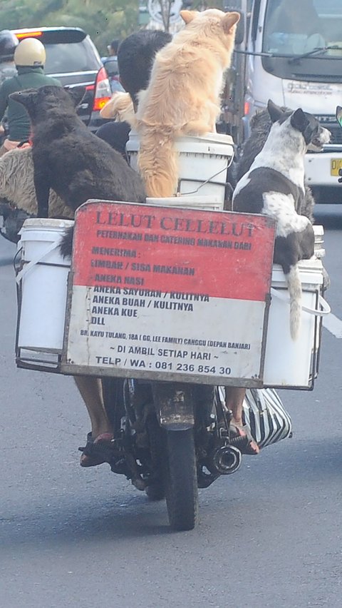 Di belakang sepeda motornya, Lelut juga memasang sebuah plang yang ia ditulis menerima limbah sisa makanan.