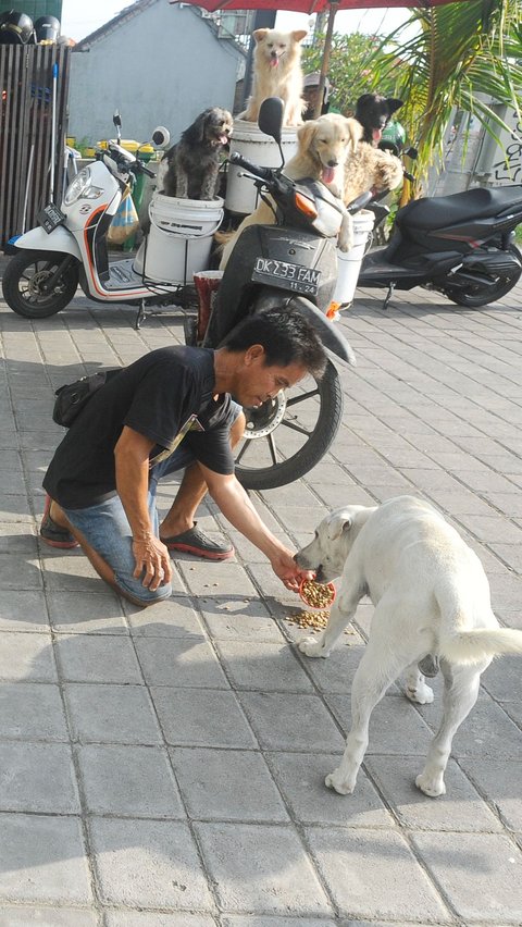 Lelut mengaku senang memelihara anjing sejak kecil. Bahkan ia menganggap anjingnya bagian dari keluarganya.