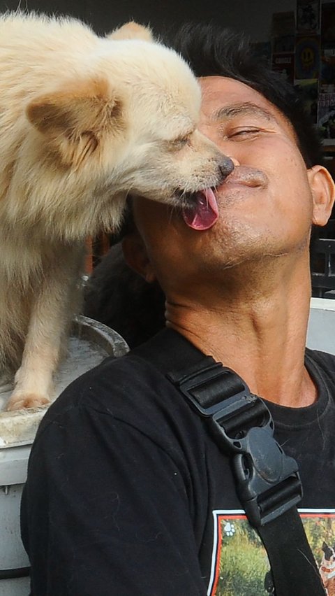 Lelut mengaku selain menjadi bagian dari hobinya, menurut dia anjing memiliki kesetiaan tiada tanding dan tiada bandingnya dengan hewan lain.