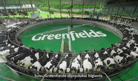 Fakta menariknya, kedua peternakan Greenfields memiliki standar kelas dunia.