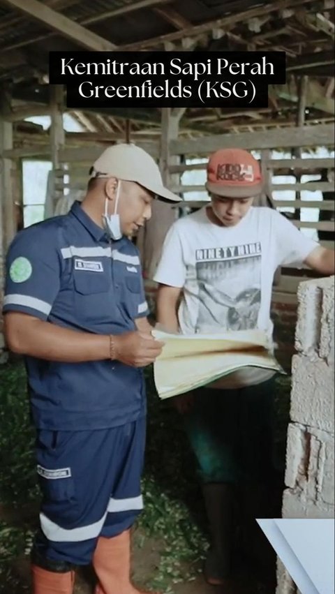 Greenfields, Susu Sapi Terbaik dari Tanah Jawa yang Mendunia