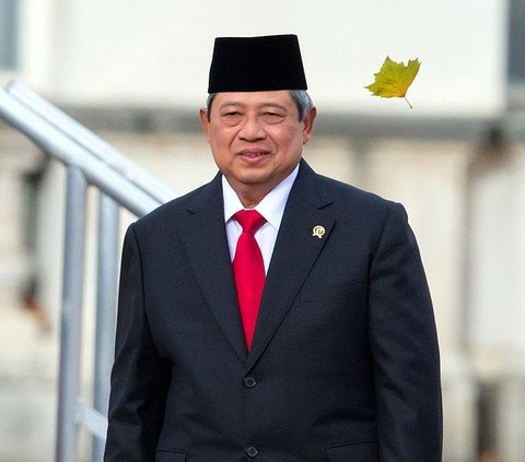 Partai Demokrat yang lahir sebelum Pemilu 2004 merupakan partai yang mampu menarik suara dengan mengandalkan popularitas seorang tokoh, yakni Susilo Bambang Yudhoyono.