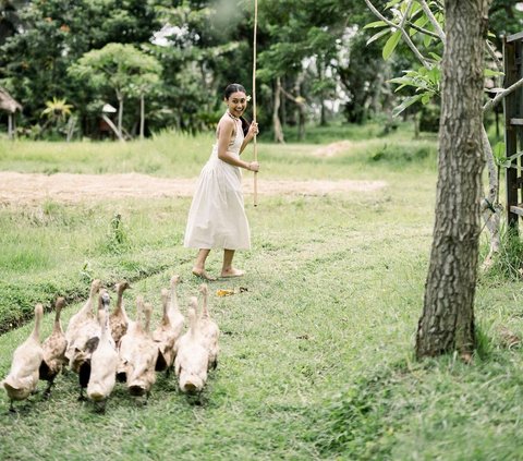 Melalui akun Instagram pribadi, Novia Bachmid membagikan beberapa potret dirinya asyik angon kerbau dan bebek. Novia tampak cantik dalam balutan busana berwarna putih dan hiasan bunga di telinga. Raut bahagia terpancar dari wajahnya.