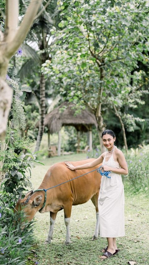 Cantik Natural, Intip Momen Novia Bachmid Angon Kerbau dan Bebek