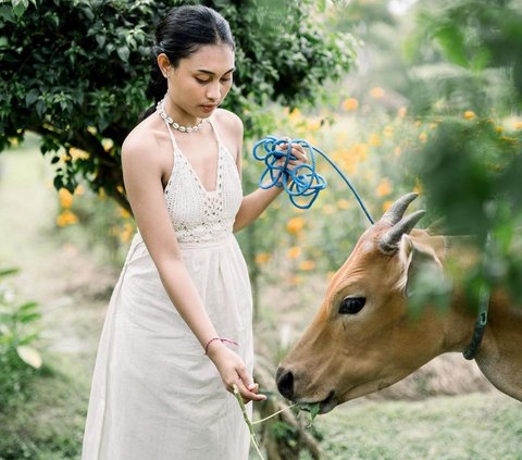 Cantik Natural, Intip Momen Novia Bachmid Angon Kerbau dan Bebek