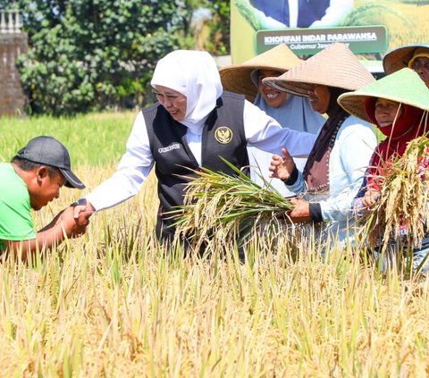 Adapun sejumlah daerah dengan produktivitas pertanian terbesar di Jawa Timur meliputi Bojonegoro, Jember, Ngawi, Nganjuk, Tuban, dan Tulungagung. Enam daerah ini menjadi andalan sektor pertanian Jawa Timur.