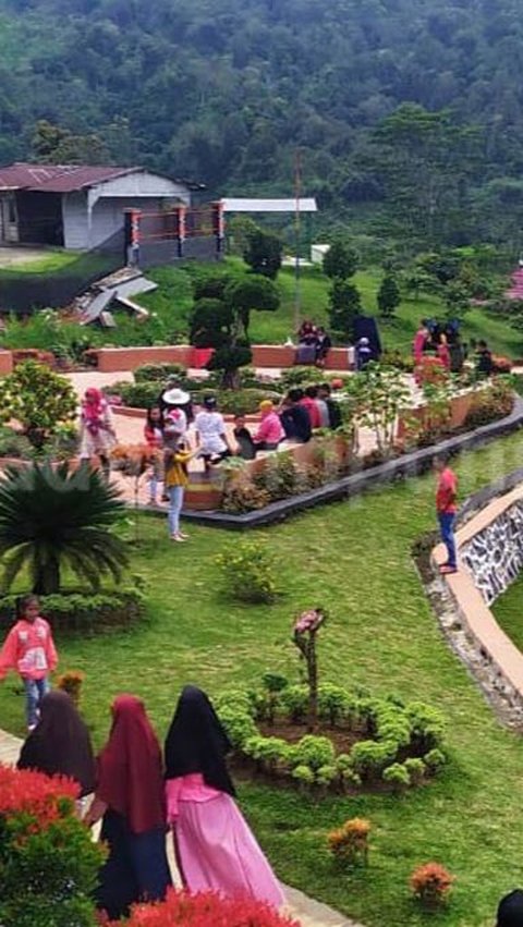 Mengunjungi Kebun Raya Liwa di Lampung, Miliki Ragam Jenis Tanaman Langka