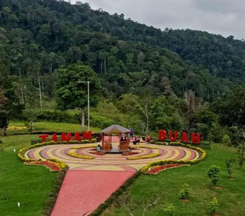 Mengunjungi Kebun Raya Liwa di Lampung, Miliki Ragam Jenis Tanaman Langka