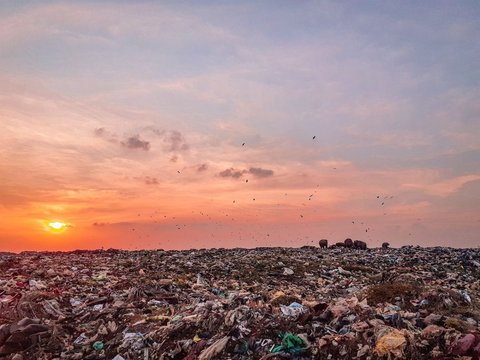 Sisi Lain Rania Naura, Perempuan Difabel Penemu Cairan Pengusir Bau Sampah Tak Sedap