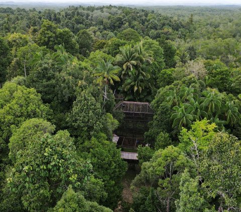 Fakta Mengejutkan Haji Isam, Orang Paling Kaya di Kalimantan Pernah Kerja Serabutan