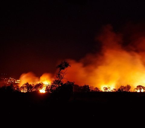 Diduga Buka Lahan Kebun, Ini Sederet Fakta Kebakaran Hutan di Kabupaten Bengkalis
